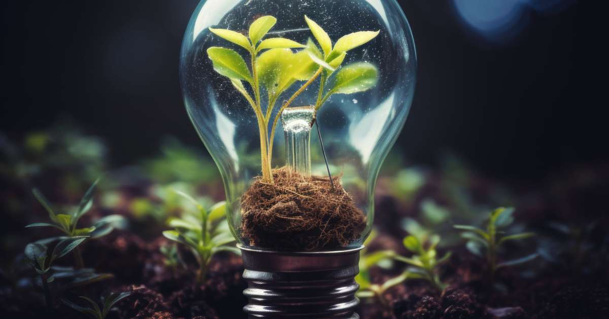Projeto Conex�es em Teias traz inova��o ao MIT Energy Summit