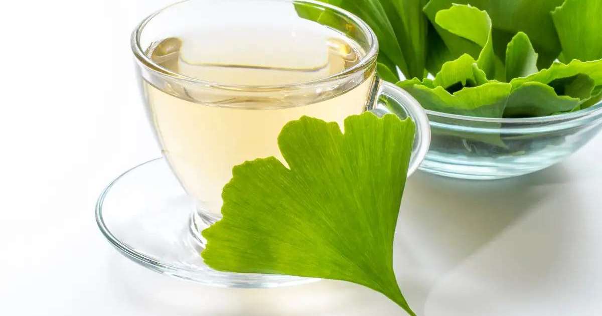 Ginkgo biloba funciona mesmo? O que a ci�ncia realmente diz