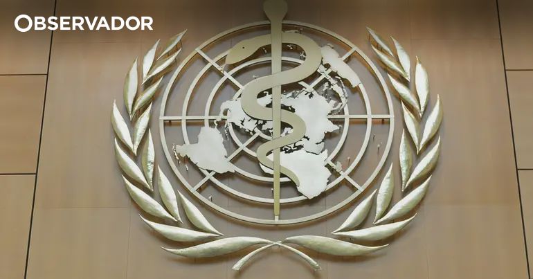 Portugal quer receber escrit�rio da OMS dedicado � IA