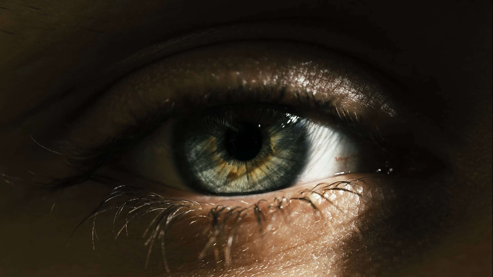 Chip ocular aprovado na Europa promete devolver vis�o a pacientes cegos