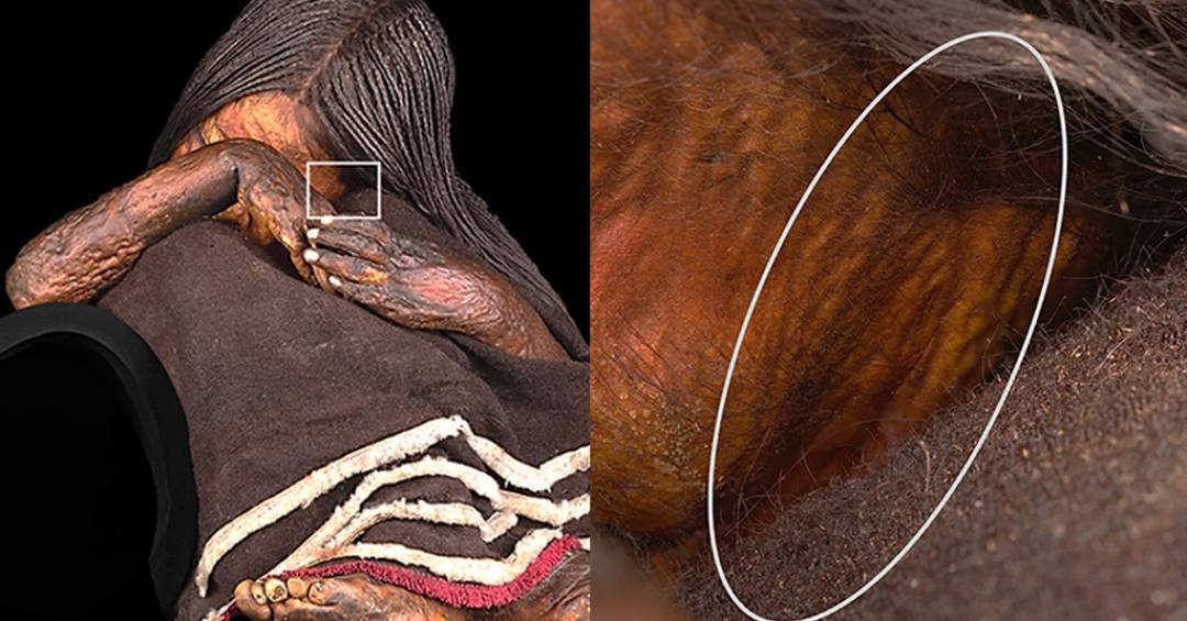 Estudo com m�mias revela causa da morte de crian�as incas sacrificadas