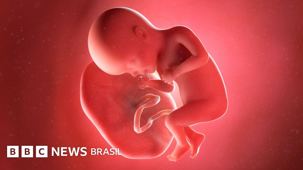 Lixo hospitalar ou rem�dio milagroso? Como entender o tr�fico de placentas humanas