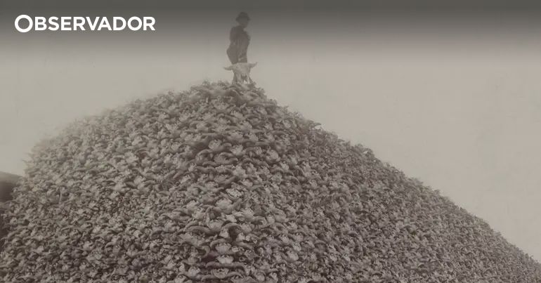 Uma vers�o enganadora da hist�ria: o pr�ximo colapso
