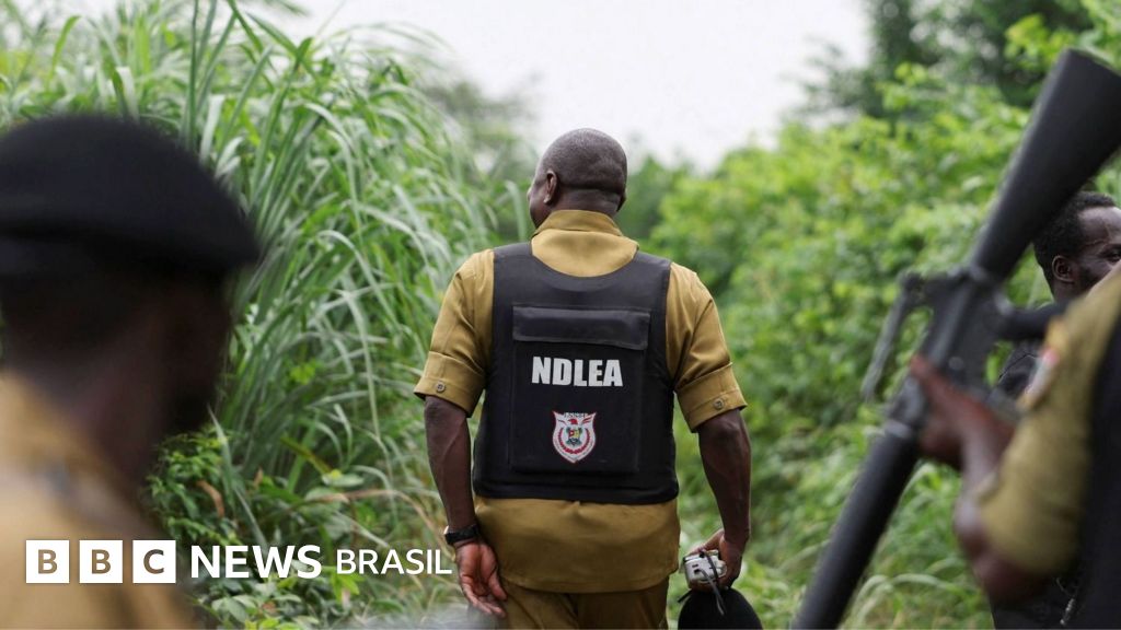 Como cart�is de droga do M�xico terceirizaram laborat�rios de metanfetamina na �frica
