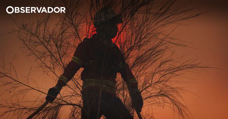 Plataforma que ajuda no combate a fogos em testes