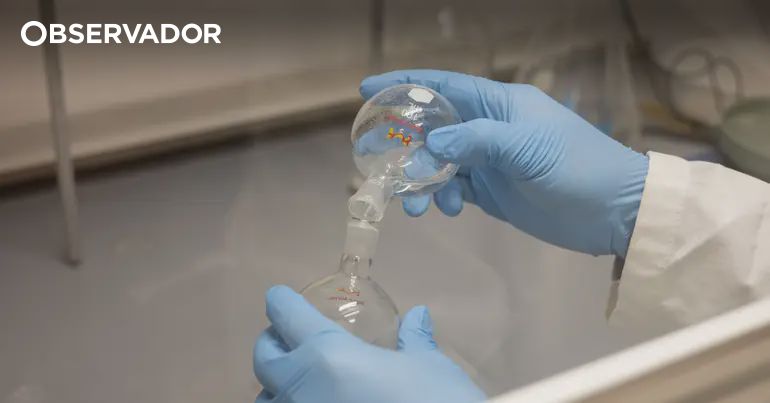 Cientistas criam v�rus com IA para combater superbact�rias