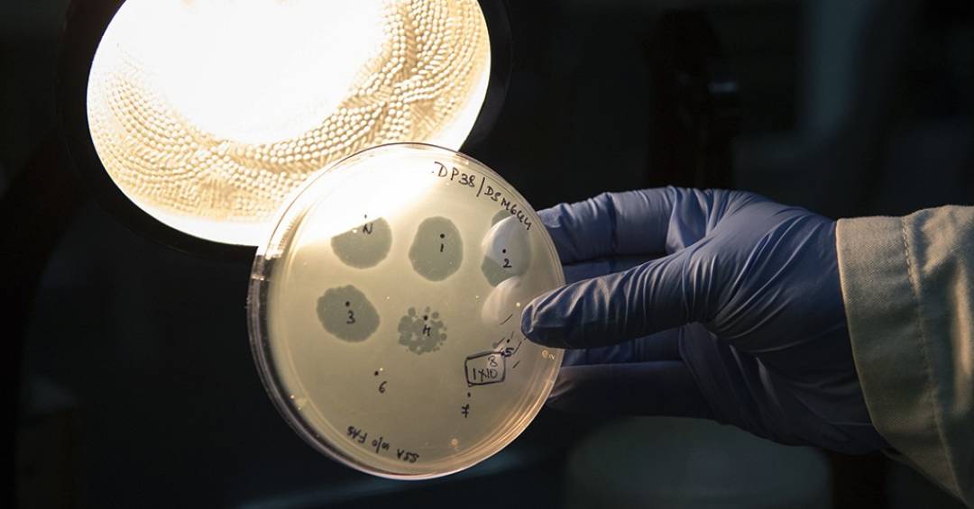 Cientistas fabricam os primeiros v�rus biol�gicos criados por IA