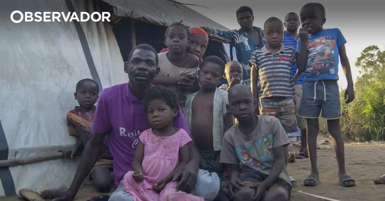 403 crian�as recrutadas por grupos armados em Mo�ambique