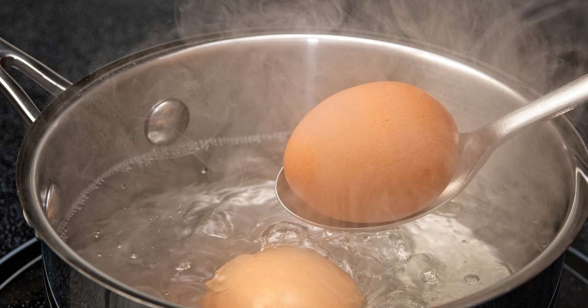 Como cozinhar ovos perfeitos: 5, 7, 10 minutos? Veja o ponto certo