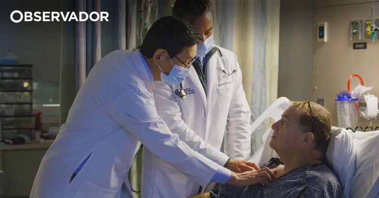 Rim de porco funcionou durante 271 dias no corpo de paciente