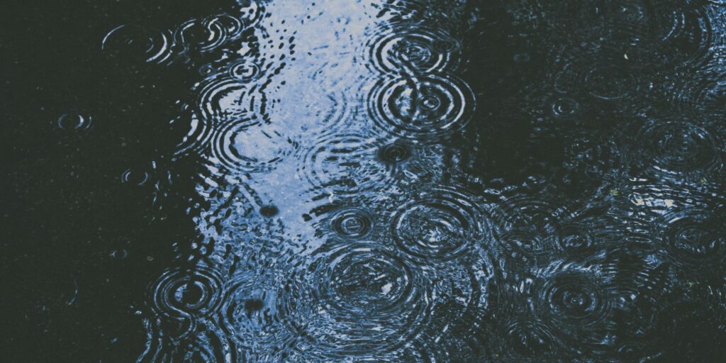?Qu�micos eternos? detetados na chuva de Melbourne est�o abaixo dos limites para �gua pot�vel