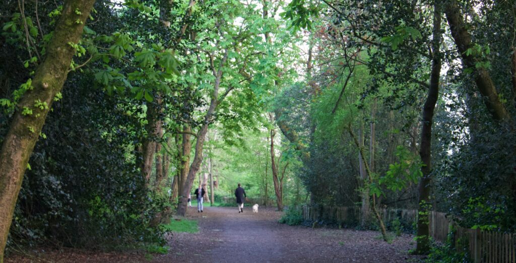Novo sistema de IA mapeia com preciso espaos verdes urbanos, expondo as clivagens ambientais