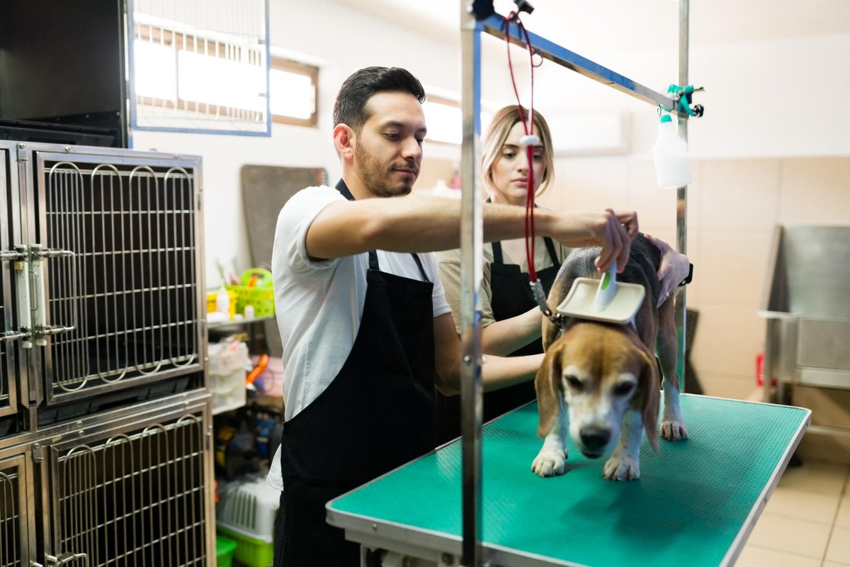 CEO lista dicas e tendncias para profissionais do setor pet